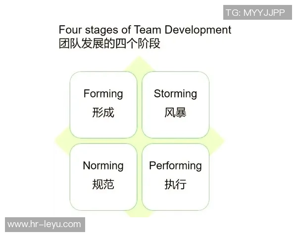 踢足球的目的不仅是竞技对抗更是团队合作与个人成长的全面体现